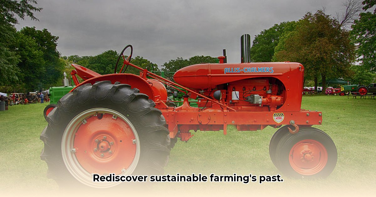 allis-chalmers-antique-tractor
